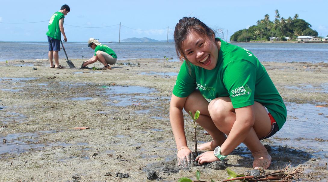 Projects Abroads ungdomsvolontärer i Fiji hjälper till att återplantera mangroveskog. Ungdomsvolontärer planterar mangroveträd på en strand på Fiji.